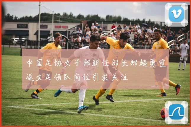 中国足协女子部新任部长郑超勇重返女足领队岗位引发关注